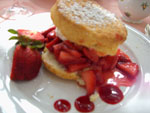 Strawberry Short Cake