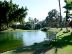 Two Bunch Palms pond