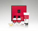 Kinara Red Carpet Facial kit